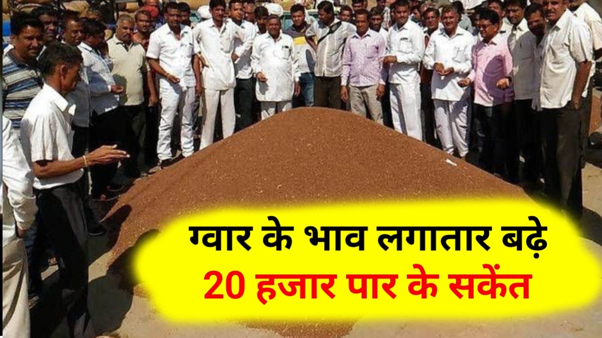 Guar Mandi Bhav Today